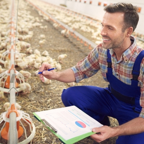Versatility Across Feedstockss